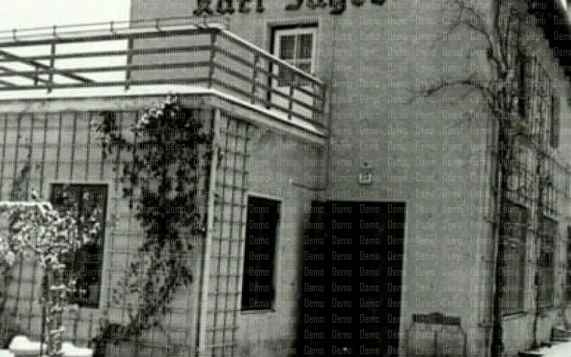 1931_1.jpg